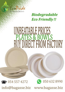 Disposable clamshell boxes Ecopride Dubai bagasse biodegradable tableware