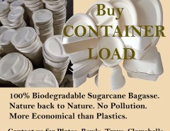 disposable biodegradable dinner plates special offer by Ecopride dubai