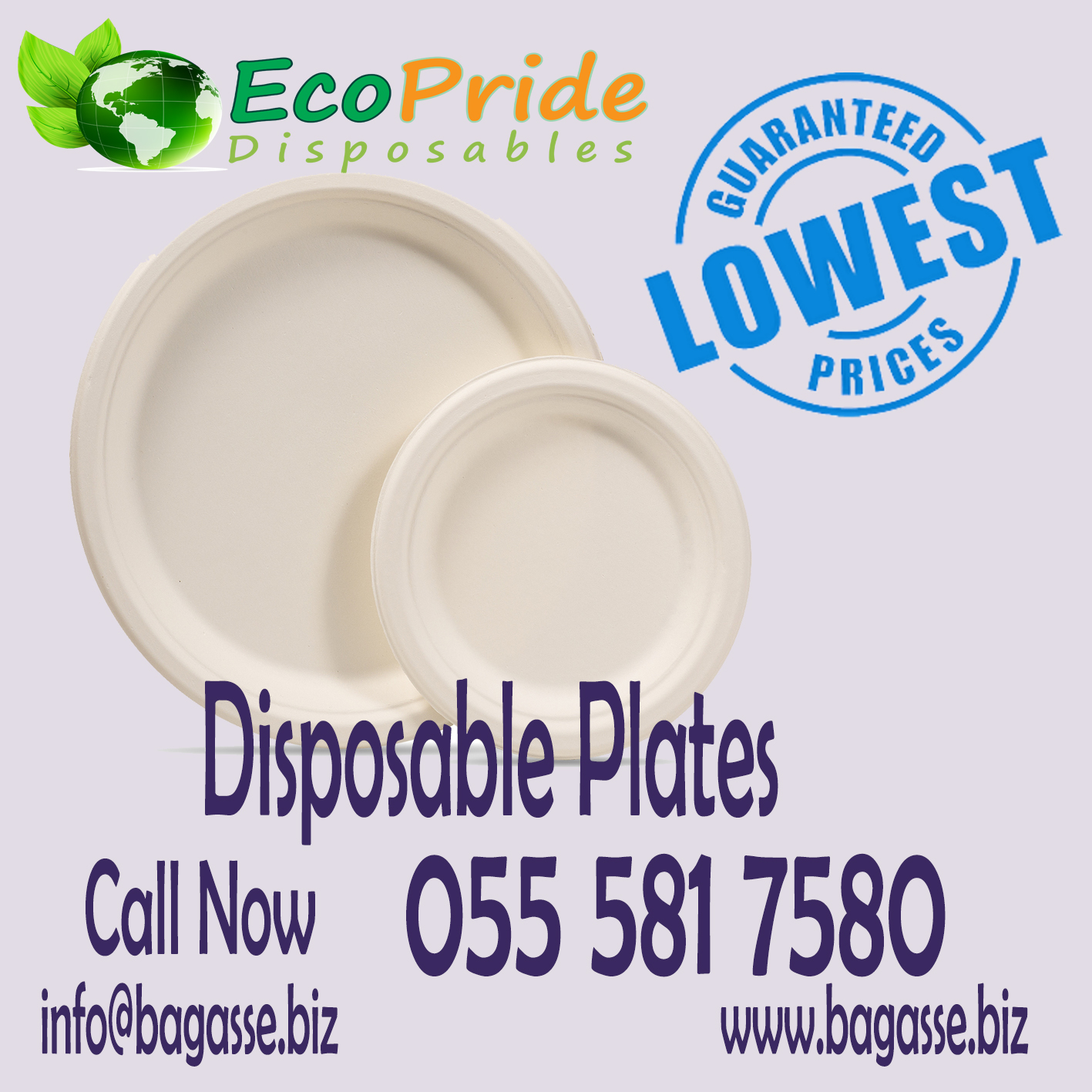 4, 6, 8, 10  INCH DISPOSABLE PLATES,  wholesale pack of 100 DISPOSABLES, BAGASSE, ECOPRIDE DUBAI, BIODEGRADABLE