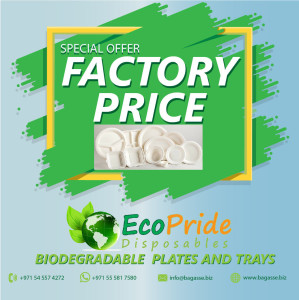 disposable food packs disposable take away supplies disposable paper plates suppliers disposable take away manufacturers disposable bagasse plates disposable bagasse plates disposable bagasse bowls, clamshell boxes